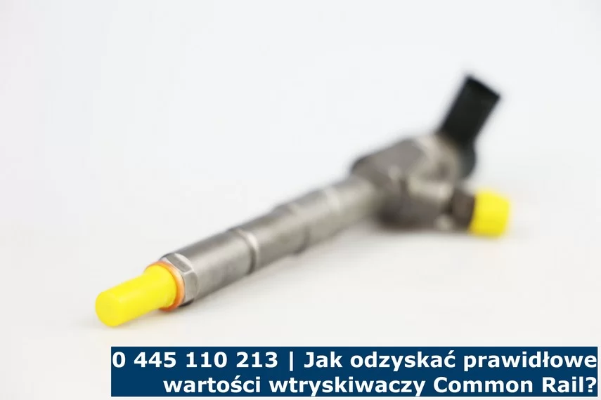 Przywracanie prawidłowych wartości wtryskiwaczy 0 445 110 213