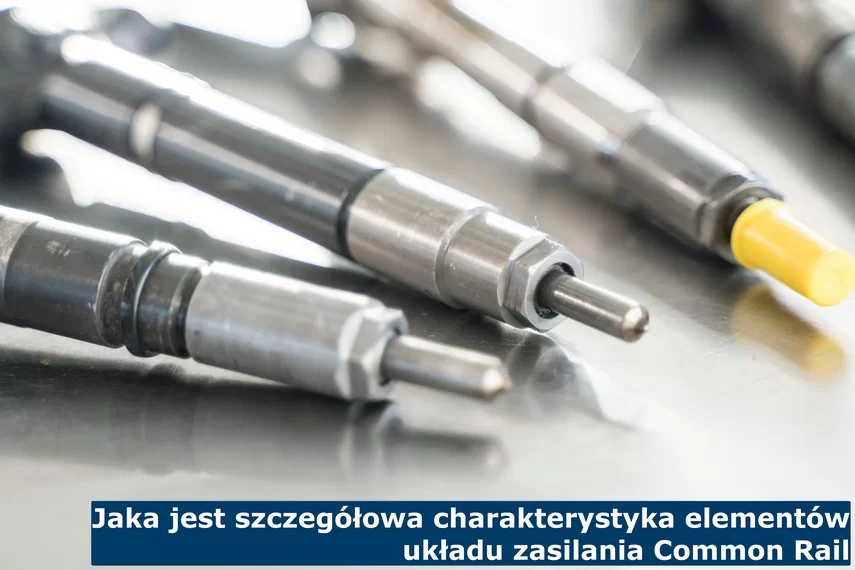 Jaka jest szczegółowa charakterystyka elementów układu zasilania Common Rail