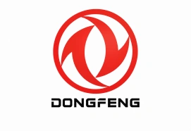 Diagnostyka testy czyszczenie i regeneracja wtryskiwaczy benzynowych Dongfeng już od 49 zł