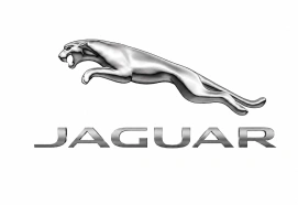 Diagnostyka testy czyszczenie i regeneracja wtryskiwaczy benzynowych Jaguar już od 49 zł