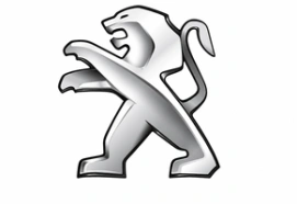 Diagnostyka testy czyszczenie i regeneracja wtryskiwaczy benzynowych Peugeot już od 49 zł