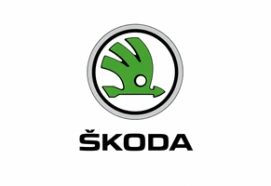Diagnostyka testy czyszczenie i regeneracja wtryskiwaczy benzynowych Skoda już od 49 zł