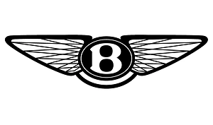 Diagnostyka testy czyszczenie i regeneracja wtryskiwaczy benzynowych Bentley już od 49 zł
