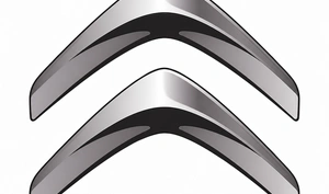 Diagnostyka testy czyszczenie i regeneracja wtryskiwaczy benzynowych Citroën już od 49 zł