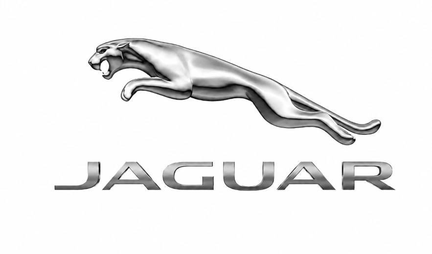 Diagnostyka testy czyszczenie i regeneracja wtryskiwaczy benzynowych Jaguar już od 49 zł