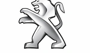 Diagnostyka testy czyszczenie i regeneracja wtryskiwaczy benzynowych Peugeot już od 49 zł