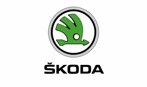Diagnostyka testy czyszczenie i regeneracja wtryskiwaczy benzynowych Skoda już od 49 zł