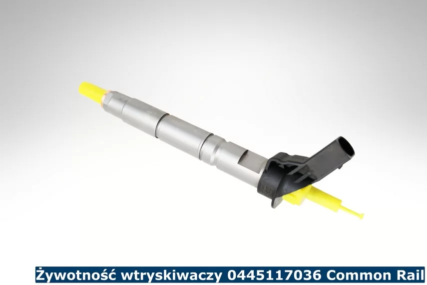 Żywotność wtryskwiaczy 0445117036 common rail