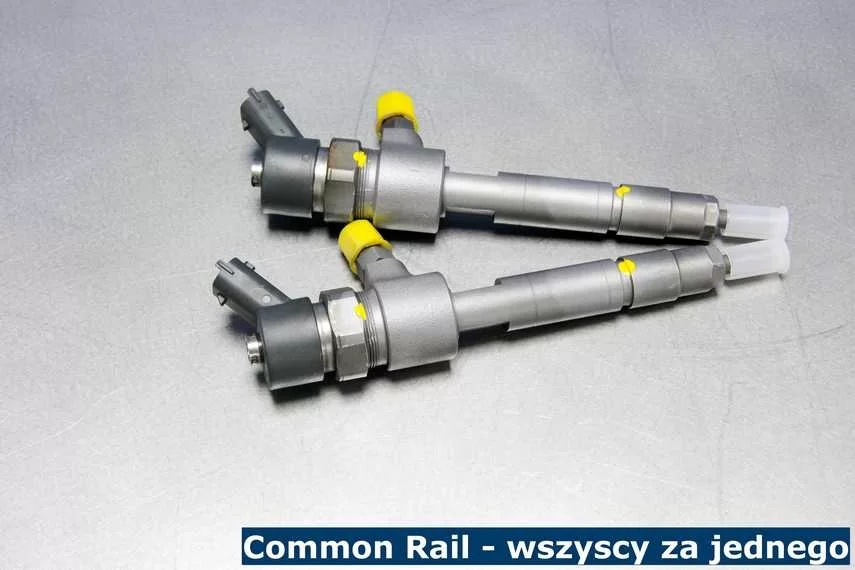 Specyfika pracy wtryskiwaczy Common Rail (na zdjęciu) sprawia, że lepiej regenerować wszystkie wtryski