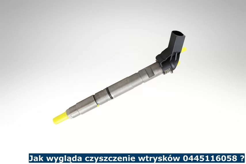 Jak wygląda czyszczenie wtrysków 0445116058 ?