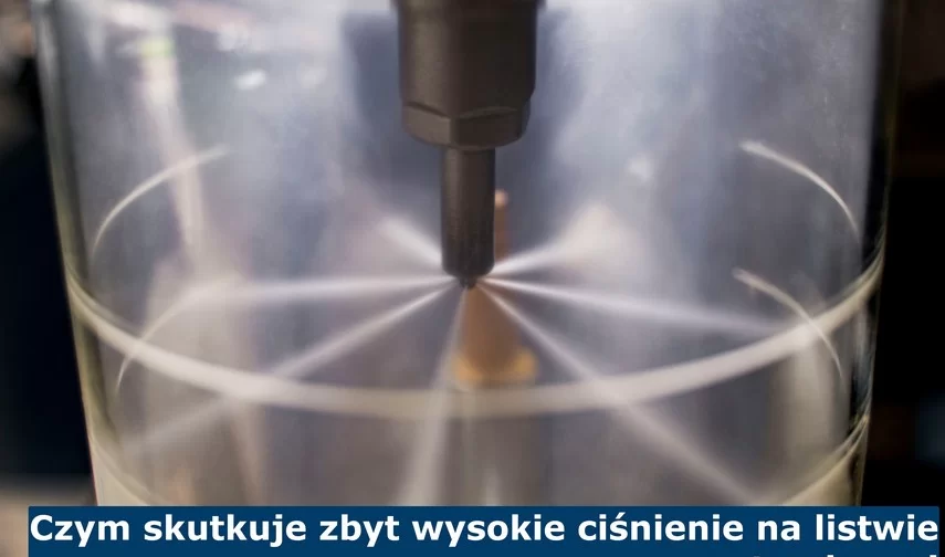 CZYM SKUTKUJE ZBYT WYSOKIE CIŚNIENIE NA LISTWIE