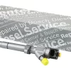 Wtryskiwacz 0445110141 Bosch IIIF |  Opel, Renault, Vauxhall