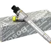 Wtryskiwacz Regenerowany Bosch 0445110520 | Iveco, Citroen