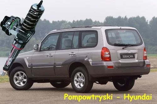 regeneracja wtrysków Hyundai Terracan