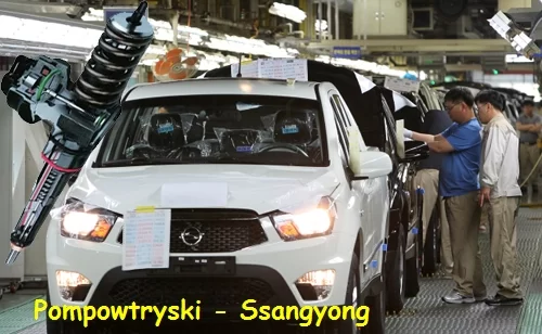 regeneracja wtrysków SsangYong