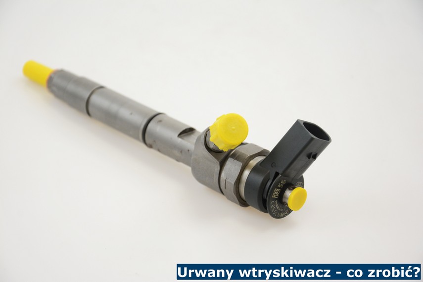 Wtryskiwacz 0 445 110 167 cały
