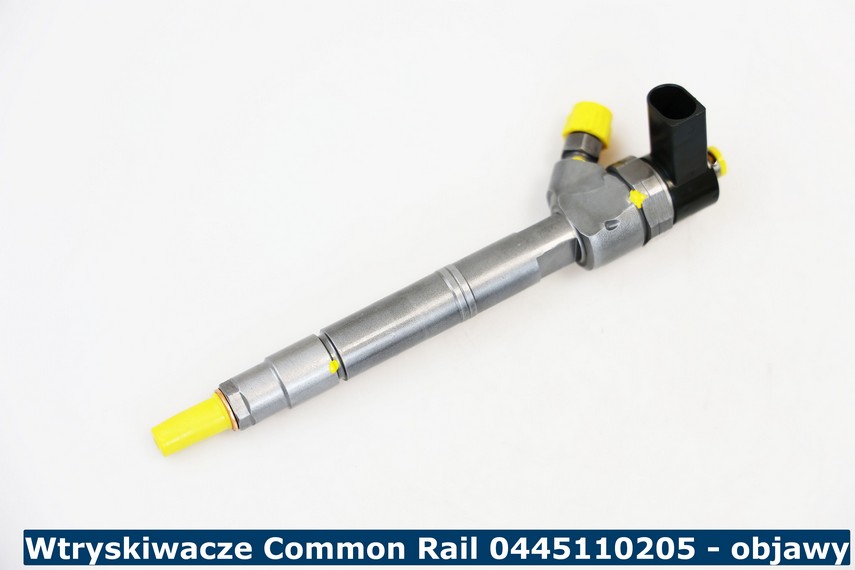 Wtryskiwacz Diesel Bosch 0445110205