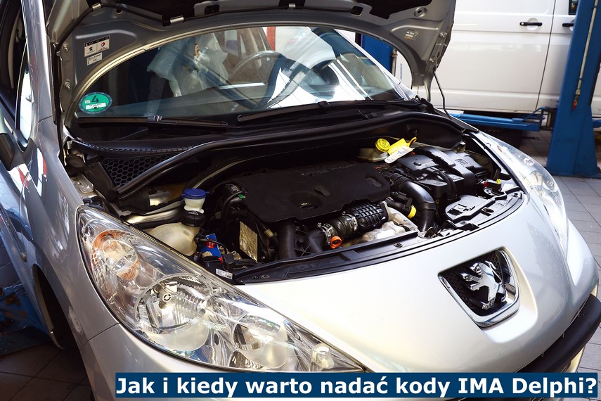 Jak i kiedy warto nadać kody IMA Delphi? kody IMA Delphi