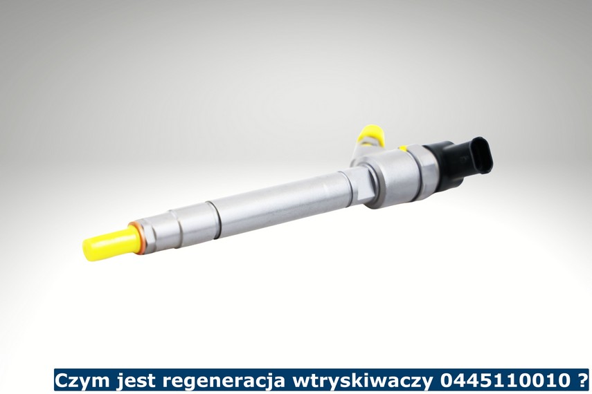 Wtryskiwacz Bosch 0445110010