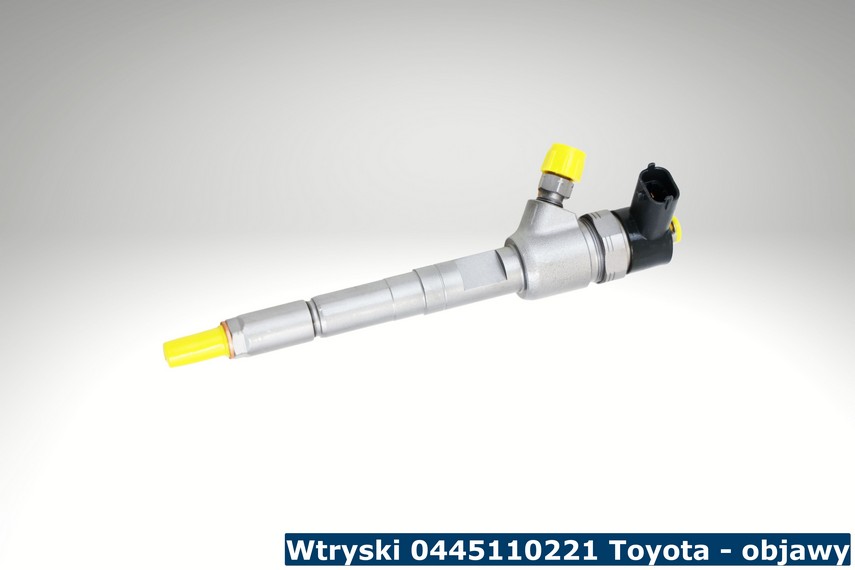 Wtrysk Bosch 0445110221