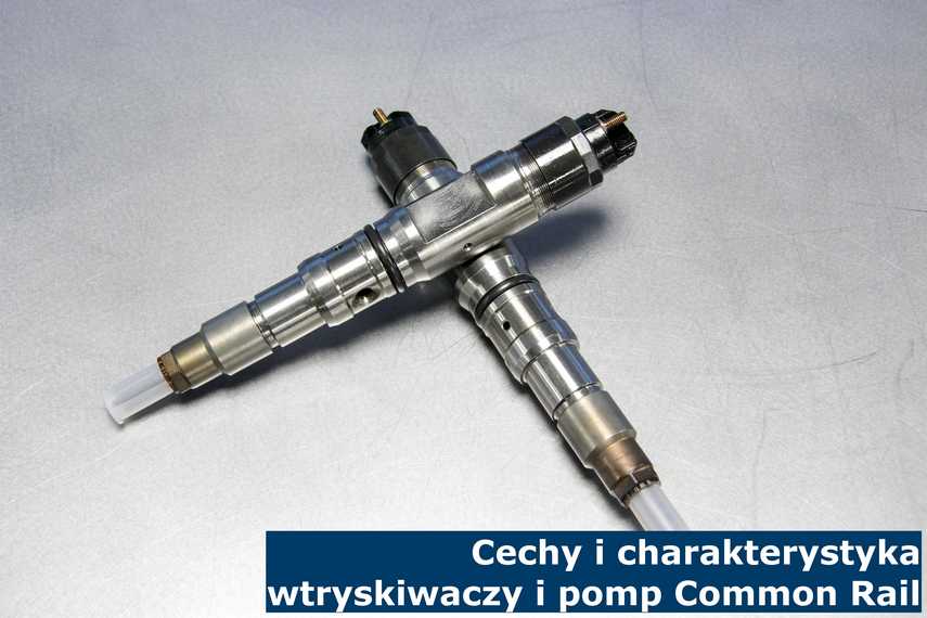 Cechy i charakterystyka wtryskiwaczy i pomp Common Rail Wtryskiwacze ze zdjęcia zostały wymontowane z układu z pompą Common Rail