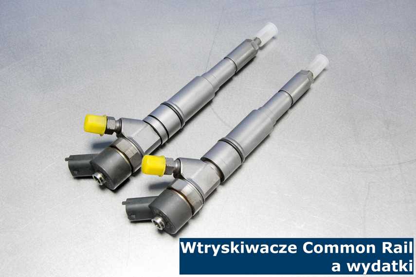 Wtryskiwacze Common Rail a wydatki Wydatki na wtryski można zmniejszyć, jeśli oddać je do regeneracji odpowiednio szybko