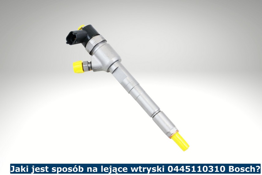 Wrysk 0445110310 Bosch