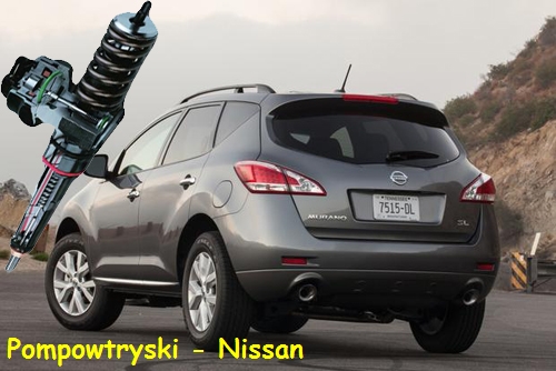 regeneracja wtrysków Nissan Murano